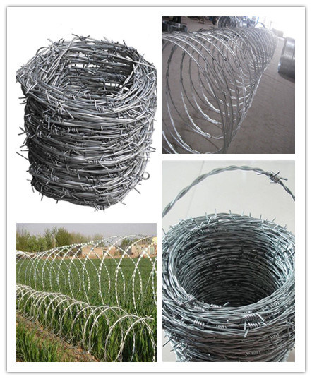 stainless steel razor barbed wire cross type razor barbed wire wire mesh