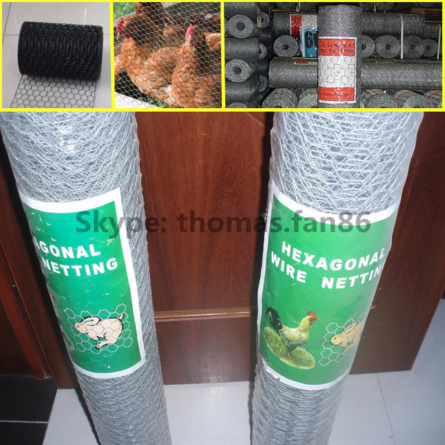 PVC Poultry Netting / Chicken Mesh / Hexagonal Wire Mesh