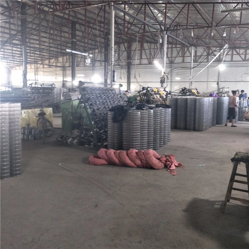 Rolled Stainless Steel SS304 Welded Wire Mesh 1 Inch