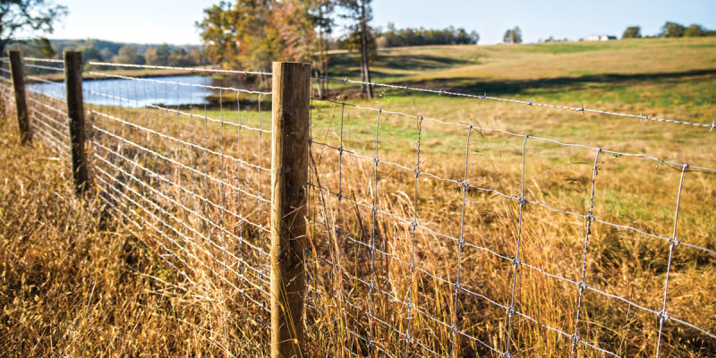 Galvanized Tightlock Fence Netting for Deer Fence
