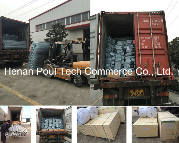 Poul Tech Layer Chicken Cage Wire Mesh (poultry equipment)