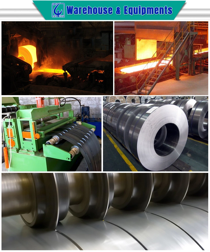 Hot Rolled Steel Coil/Steel Roll/Hot Rolled Steel Strip