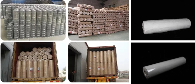 25.4mm Stainless Steel 316L Welded Wire Mesh