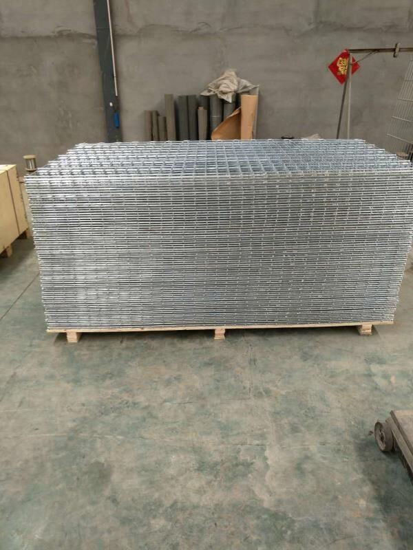 Low Carbon Steel Welded Wire Mesh Double Wire Fence