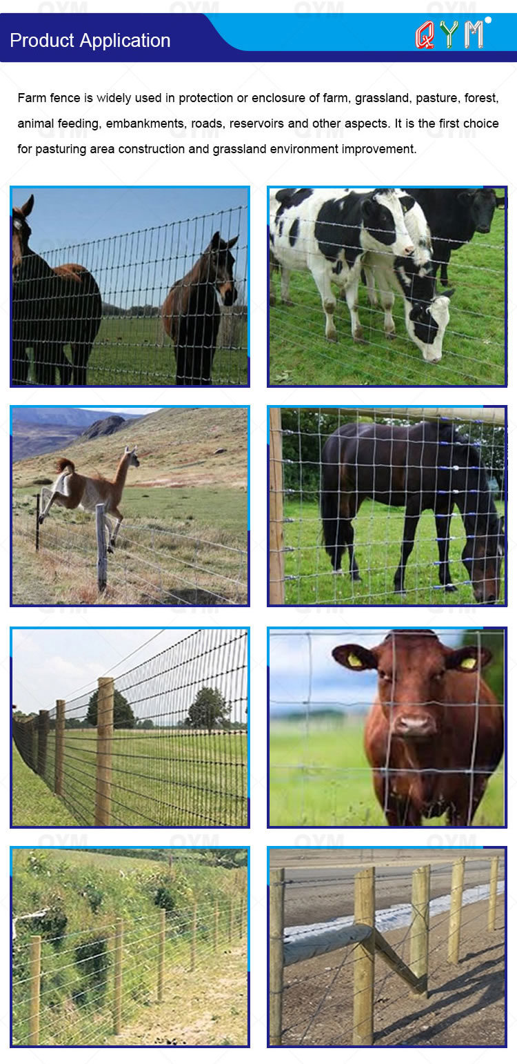 Hog Wire Farm Fencing Goats Fencing Wire for Horses Used