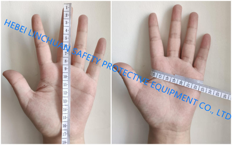 Cut-Protection Wire Mesh Glove/Metal Mesh Hand Glove