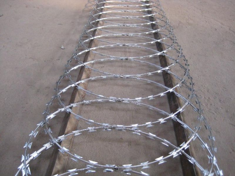 Steel Wire, Security Protected Razor Barbed Wire/Blade Barbed Wire