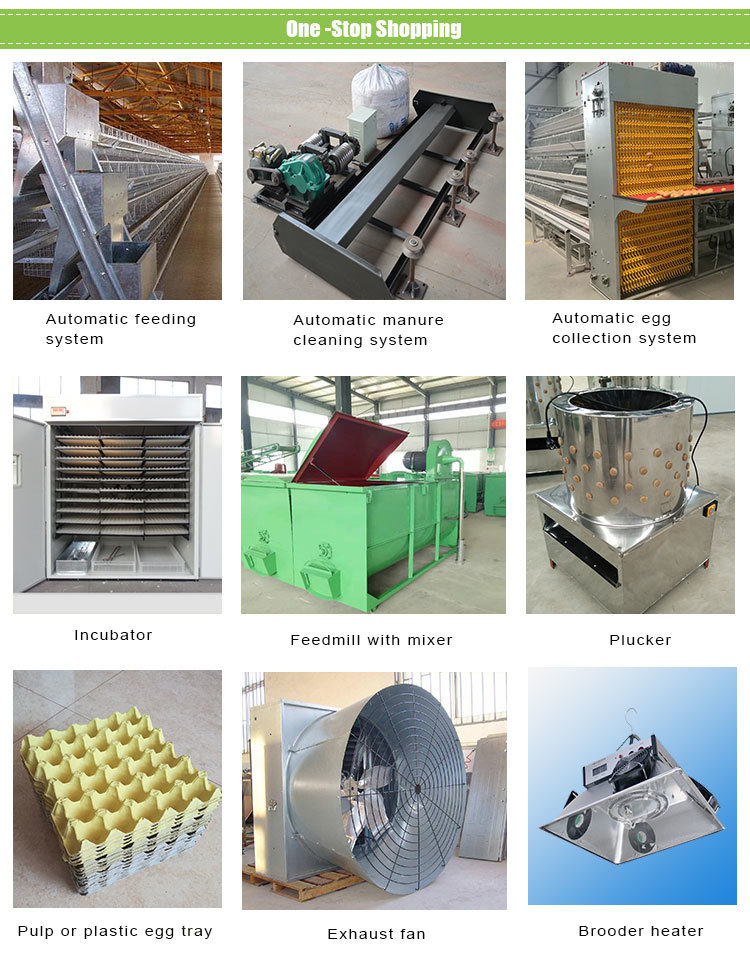Poultry Equipments Broiler Cage/ Cage for Growing Broiler Chicken