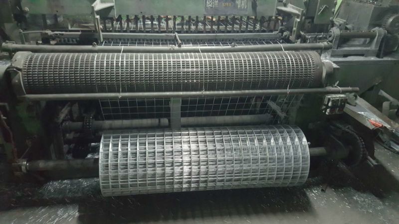 PVC Coated / Hot Dipped / Electro Galvanized / Stainless Steel Welded Wire Mesh, Welded Mesh Fence