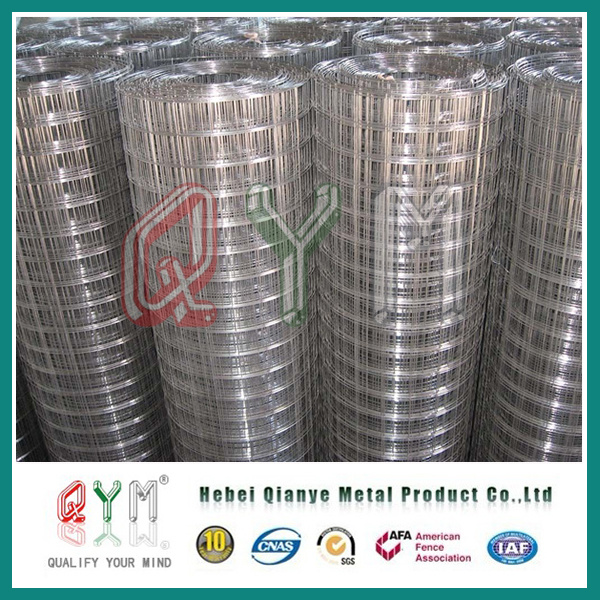 Hot Dipped Galvanized Welded Wire Mesh/ Stainless Steel Wire Mesh
