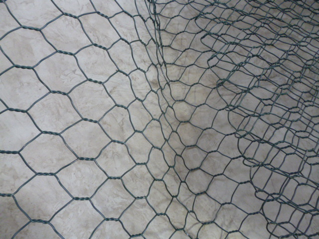 Hexagonal Electro Galvanized Then PVC Coated Chicken Mesh for Poultry