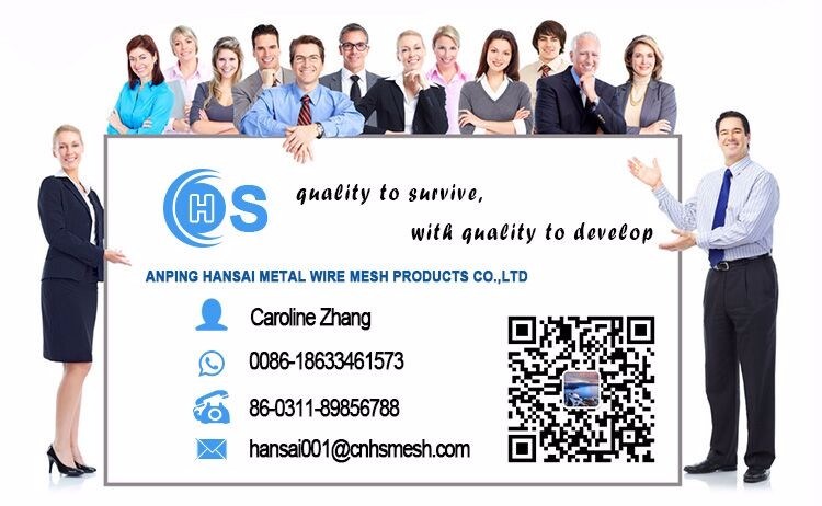 Square Mesh Welded Wire Mesh/Steel Welded Wire Mesh