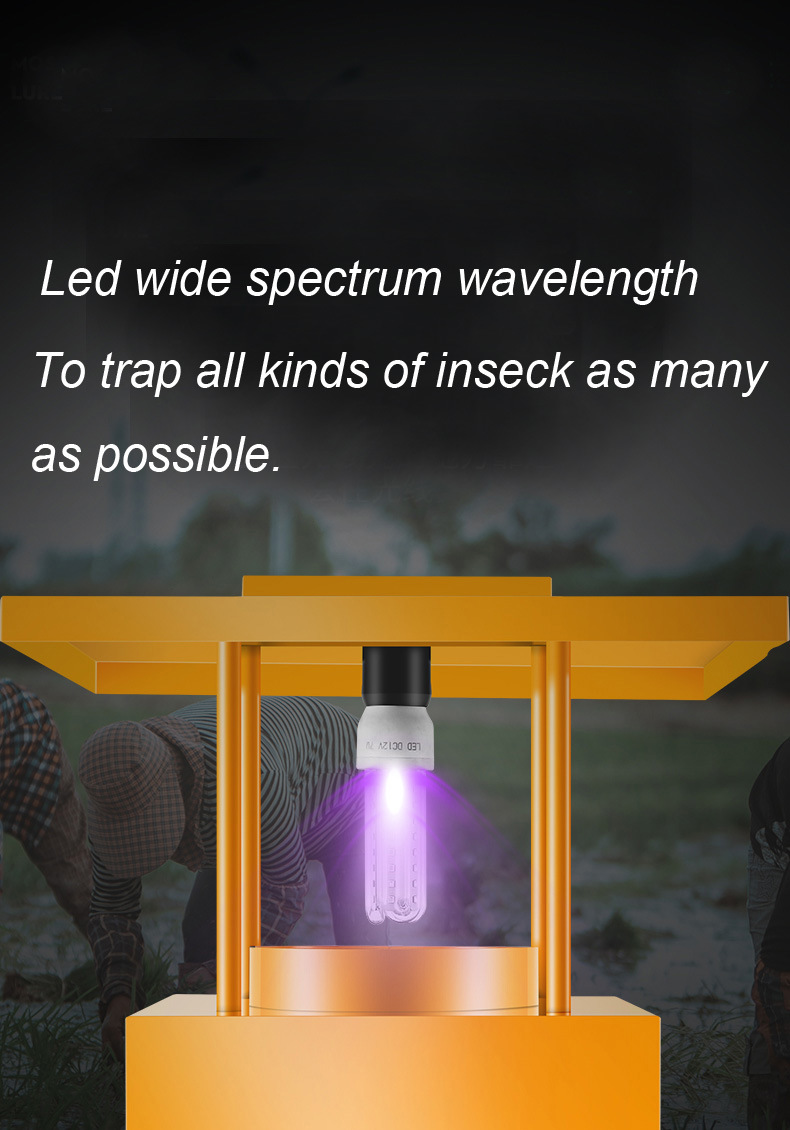 Airflow Insect Lighting Trap Insects