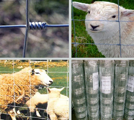 Knotted Field Fence Factory/ Knotted Woven Fence Mesh/ Farm Field Mesh Fence