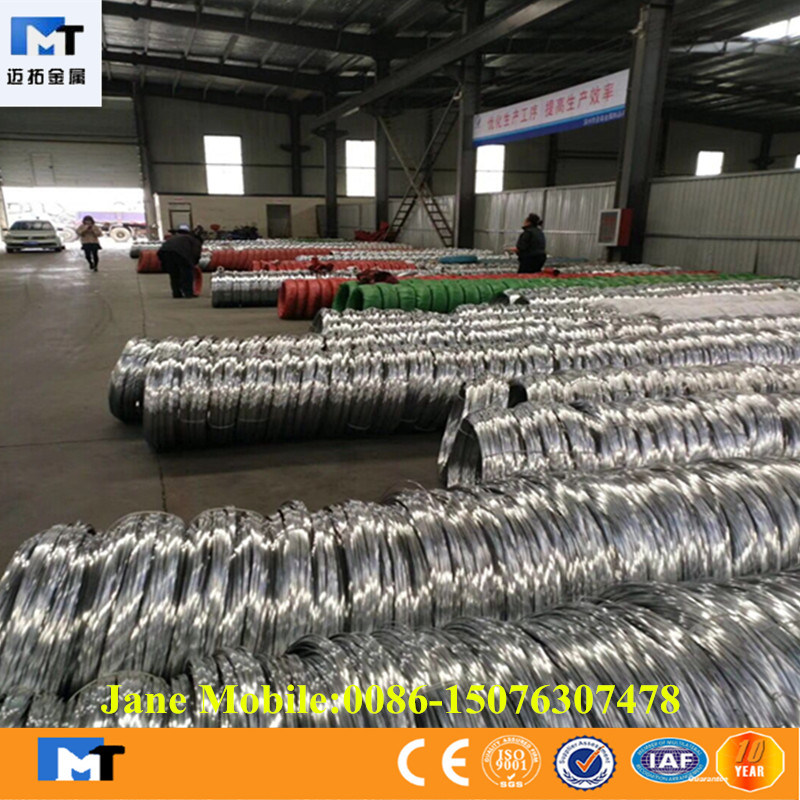 Electrical Galvanized Wire for Export (hot sale MAITUO company GW004)