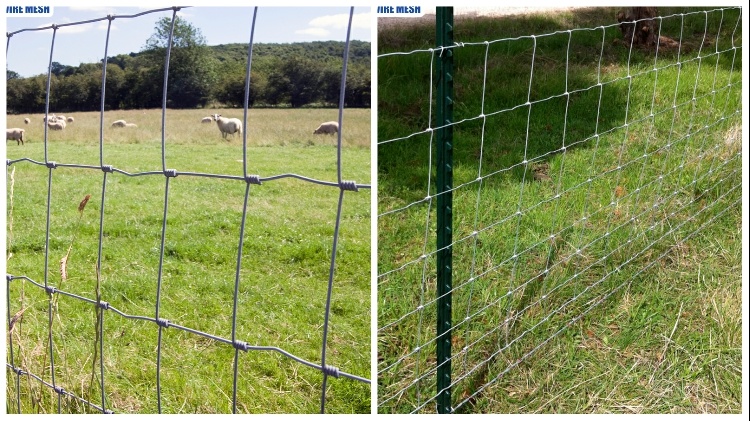 Hinge Joint Cattle Fence with Green Color PVC