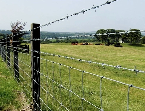 Razor Barbed Wire Galvanized Barbed Wire for Fencing