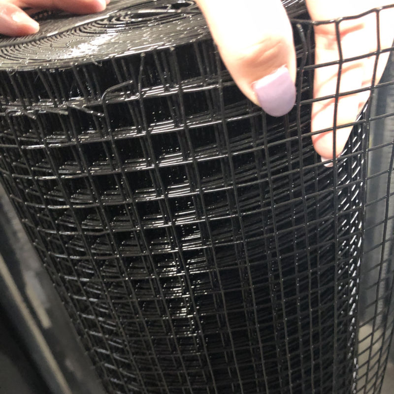 PVC Coated Welded Wire Mesh for Garden/Plastic Coated Wire Mesh