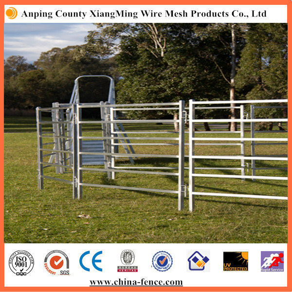 Cage & Coop for Poultry, Livestock