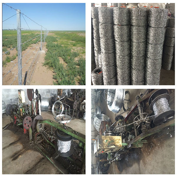 Hot Dipped Galvanized Barbed Wire Barbed Wire for Fencing