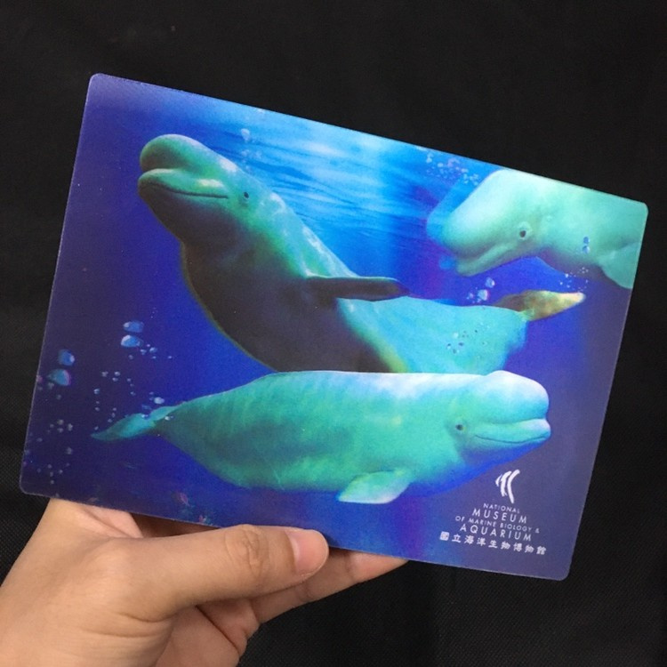3D Hologram Business Cards 3D Printing Business Card Custom 3D Card
