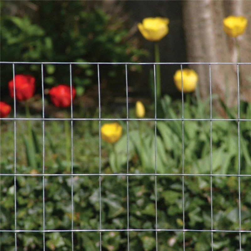 1*2inch Welded Wire Mesh for Chicken Fencing