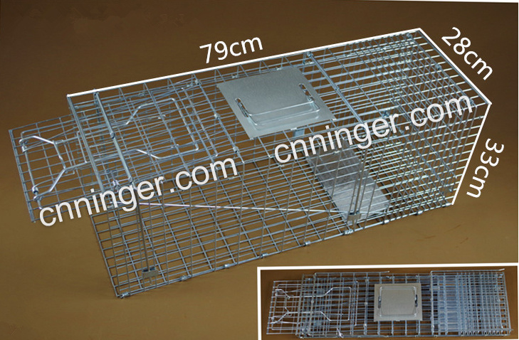 Metal Pest Cage Coyotes Cage Foxes Cage Armadillos Cage