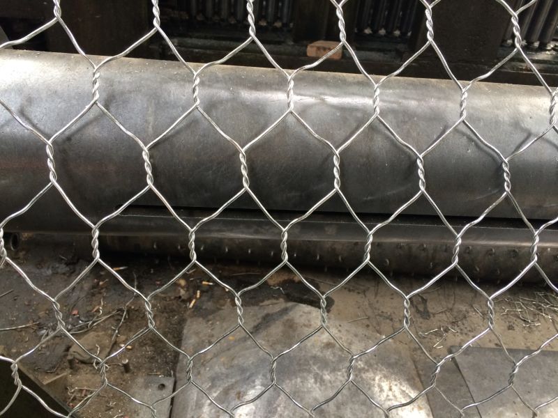 2inch PVC Coated/Galvanized Hexagonal Wire Netting Chicken Wire Mesh