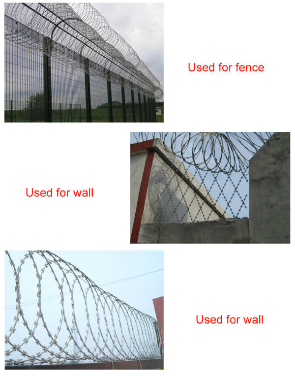 Galvanized Barbed Wire Razor Wire Mesh Wall Spike