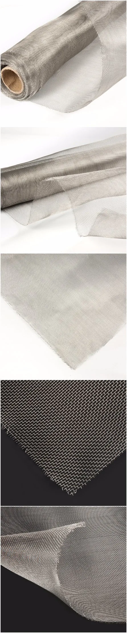 Stainless Steel Type 304 316 Wire Mesh Stainless Steel Insect Screen Mesh