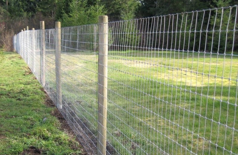 Hot Dipped Galvanized Hinged Knot Field Fence/Cattle Fence/Sheep Fence