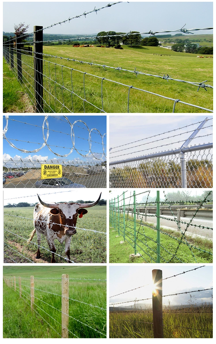 High Security Chain Link Fence Top Barbed Wire
