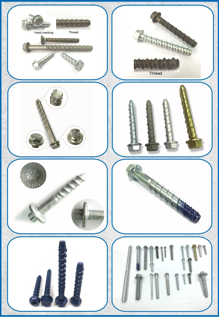 Custom Carbon Steel Concrete Screw Galvanized Concrete Bolt Self Drilling Concrete Anchor