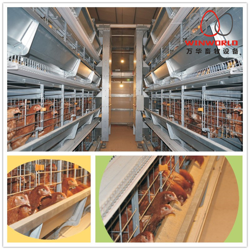 Best Price Chicken Layer Cage / Poultry Cage for Sale