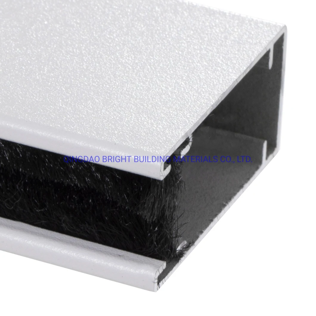 Good Performance Aluminum Profile Retractable Fly Screen Window Insect Screen Window with Ce, Reach Certificate