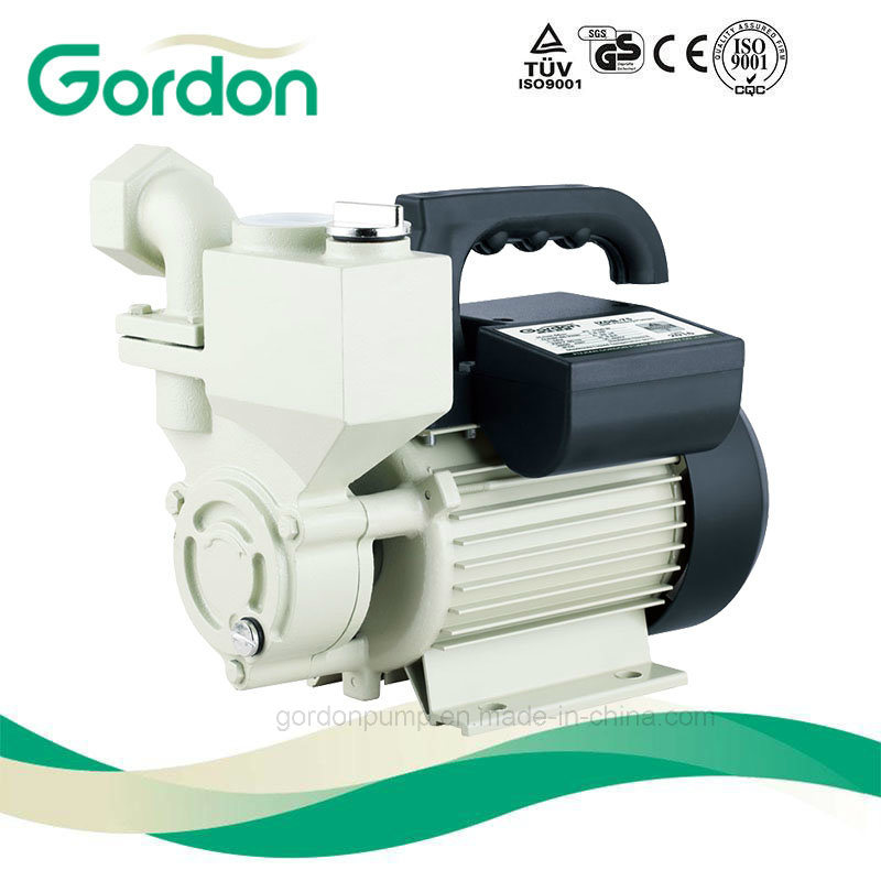Domestic Electric Copper Wire Self-Priming Booster Pump with Water Valve