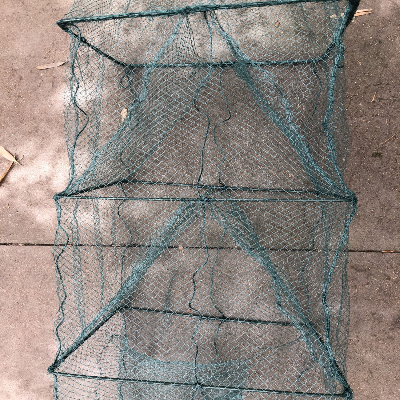 Mesh Size 1.5cm+1.5cm Sea Water Green Fishing Cage Net
