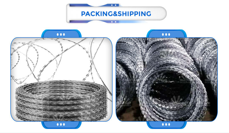 Hot-Dipped Galvanized Concertina Razor Barbed Tape Fence Wire