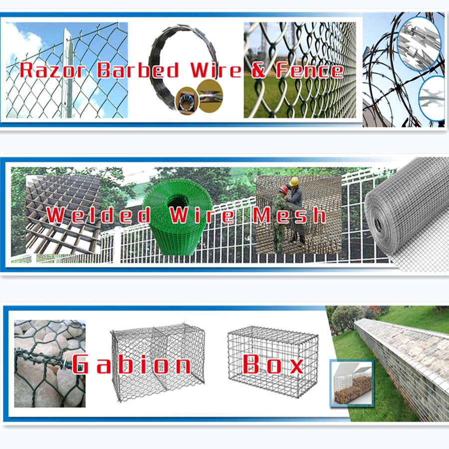 Electro Galvanized Barbed Wire for Fence Razor Barbed Wire