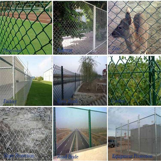 Yq Galvanized Chain Link Fence Mesh Farm Security Fence
