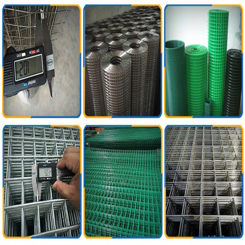 Welded Wire Mesh Fence/Square Wire Mesh Fence