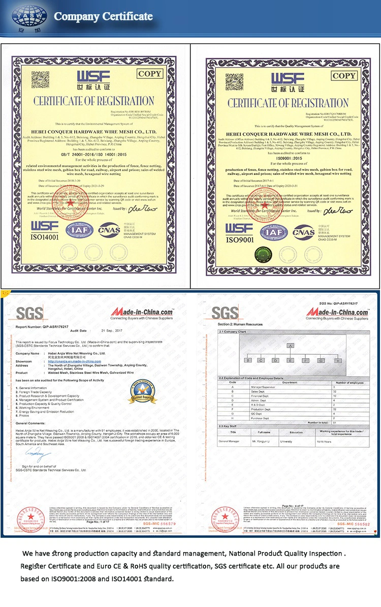 Plastic Window Screen with SGS and Ce Block Mosquitoes From Anjia Factory