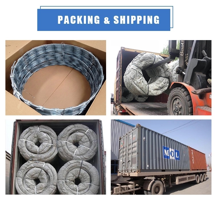 Steel Wire, Security Protected Razor Barbed Wire/Blade Barbed Wire