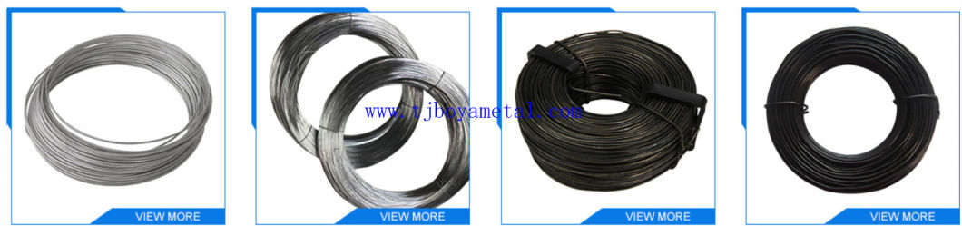 Low Price Galvanized Wire/High Quality Galvanized Wire/Hot Sale Chinese Factory Galvanized for Sale