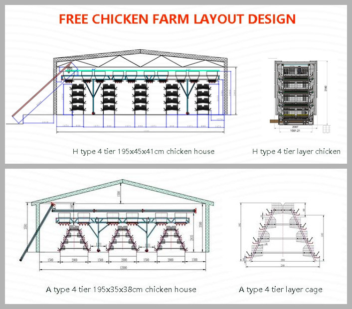 China Laying Hens Coop/Cage Poultry Equipment for Broiler Chicken