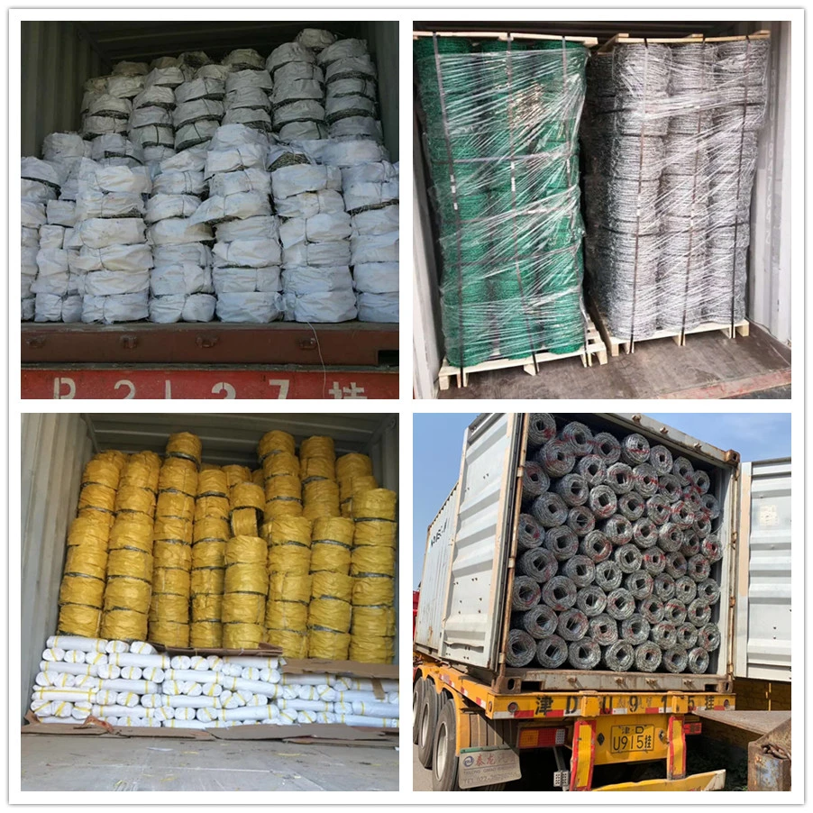 Electro Galvanized Barbed Wire for Fence Razor Barbed Wire