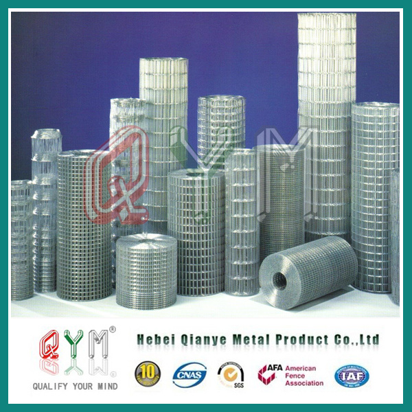 Galvanized Bird Cage Welded Wire Mesh Rolls for Construction