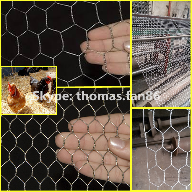 PVC Poultry Netting / Chicken Mesh / Hexagonal Wire Mesh