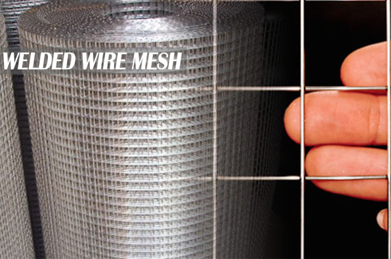 Galvanized/Non Galvanized Welded Wire Mesh for Fencing