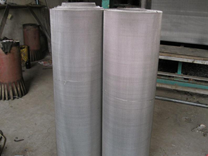 Stainless Steel Wire Cloth/Stainless Steel Wire Netting/Stainless Steel Wire Mesh